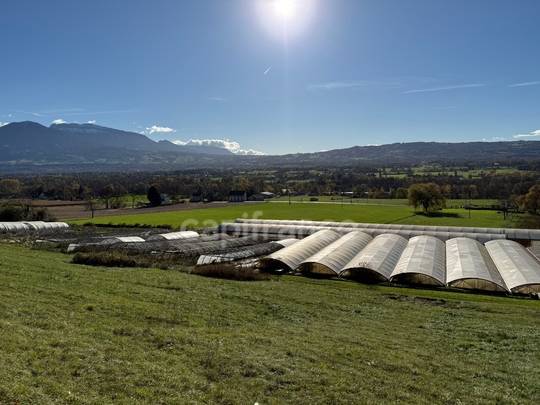 Equestrian property  Haute-Savoie