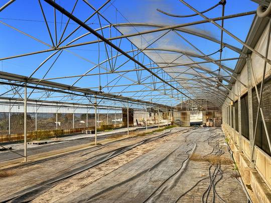 Equestrian property  Haute-Savoie