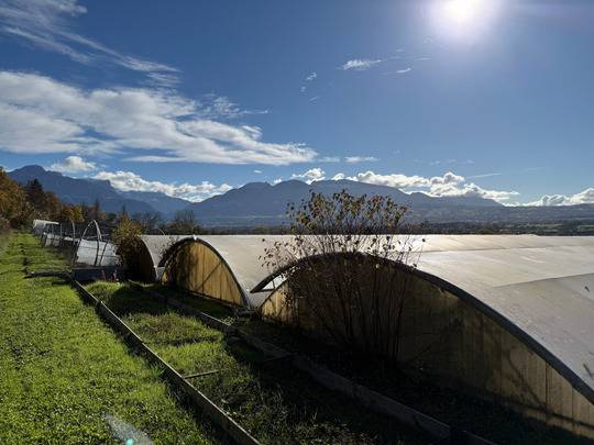 Equestrian property  Haute-Savoie