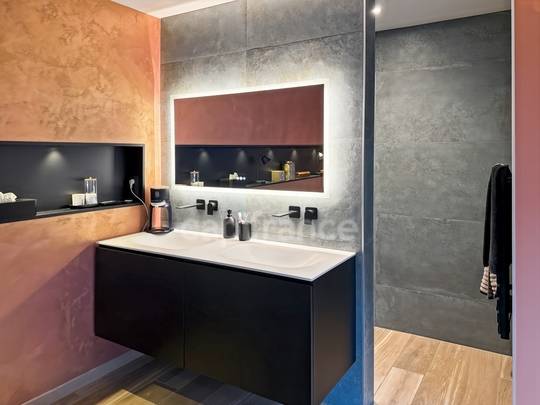 Equestrian property  Haute-Savoie