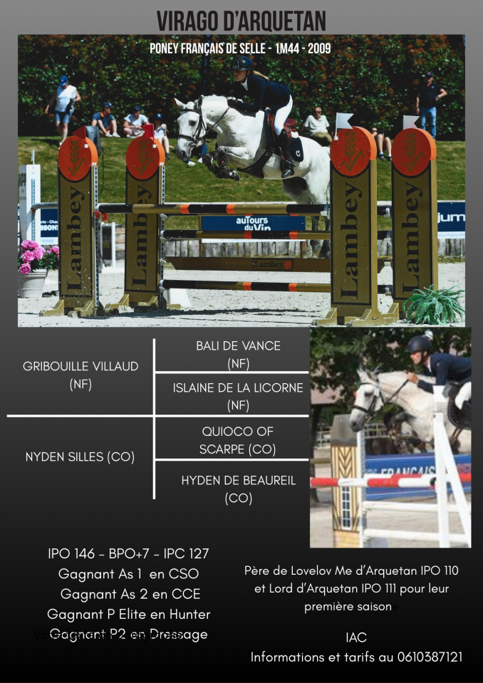 Virago d'Arquetan - French Saddle Pony 2009 by Gribouille Villaud