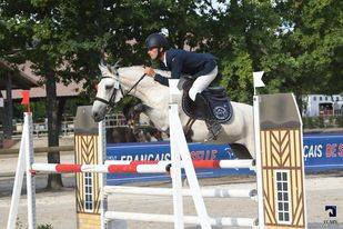 Virago d'Arquetan - French Saddle Pony 2009 by Gribouille Villaud