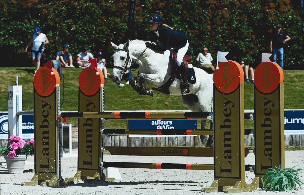 Virago d'Arquetan - French Saddle Pony 2009 by Gribouille Villaud