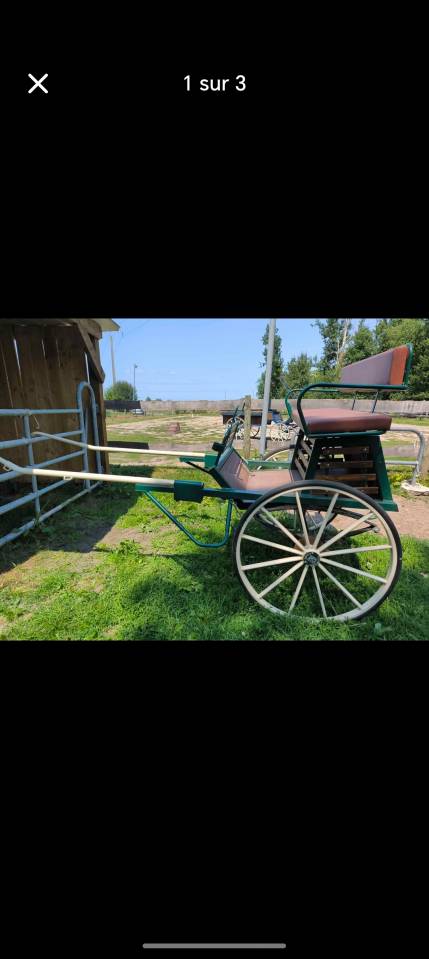 Carriage - Other carriage - Other brand - Caravoine 