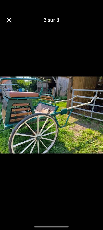 Carriage - Other carriage - Other brand - Caravoine 