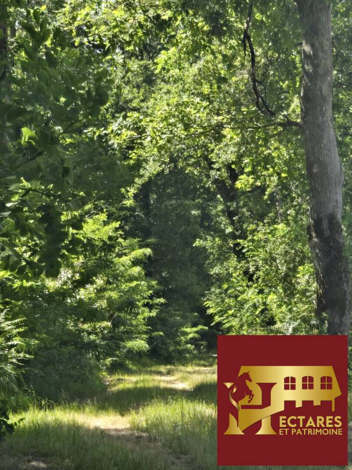 Livery yard  Gironde