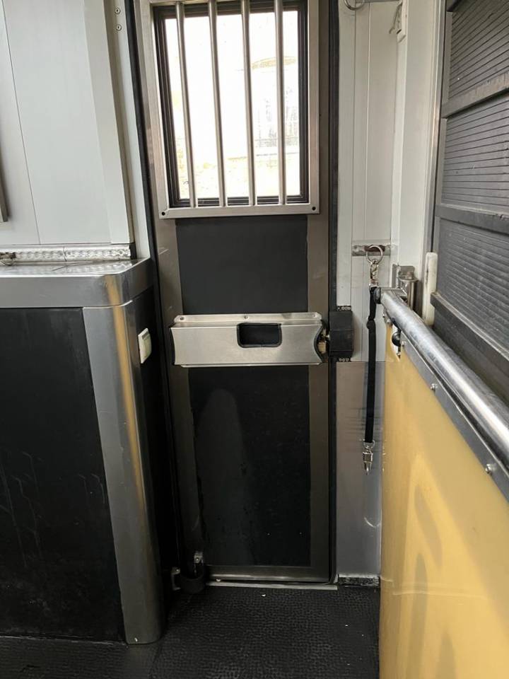 Horsebox NON-HGV Scania P380 2009 Used