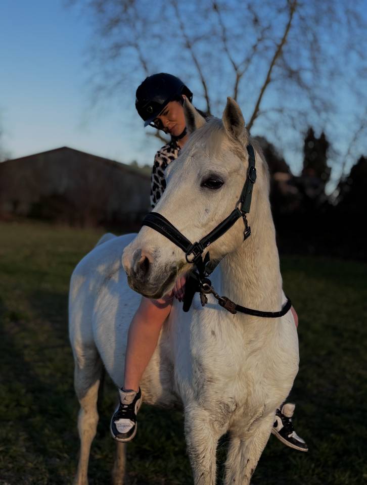 Gelding Other Pony Breed For sale 2008 White