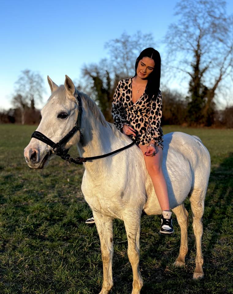 Gelding Other Pony Breed For sale 2008 White