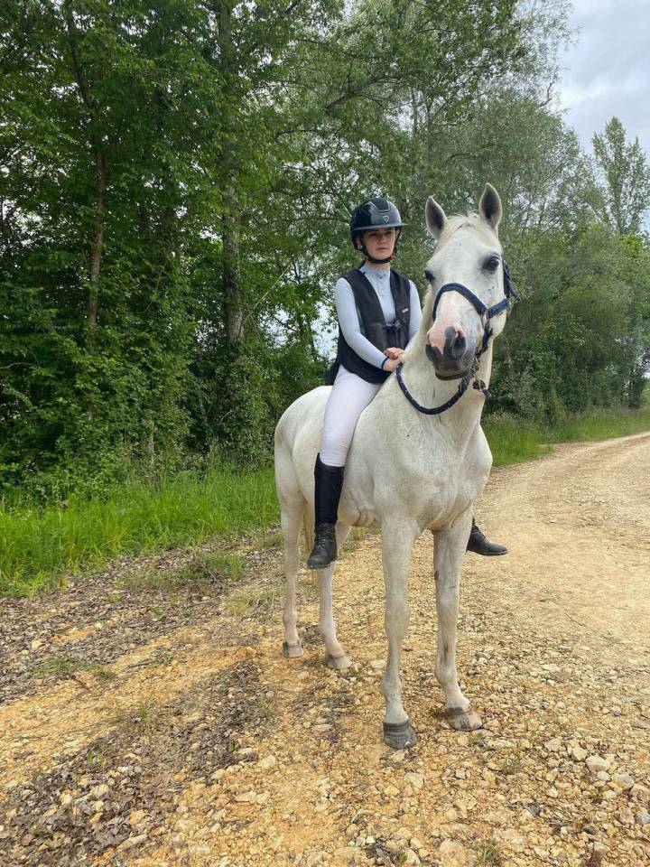 Gelding Other Pony Breed For sale 2008 White