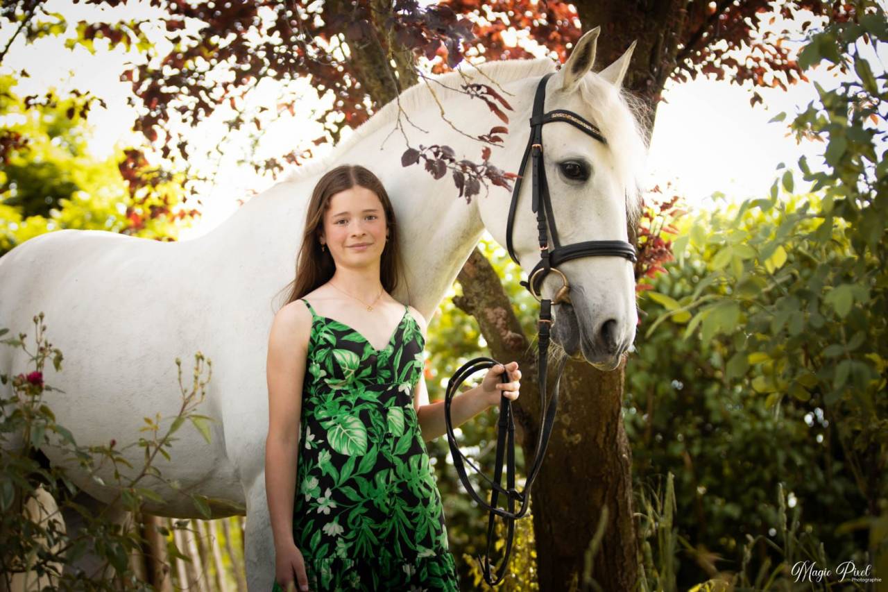 Mare Lusitano For sale 2014 Grey