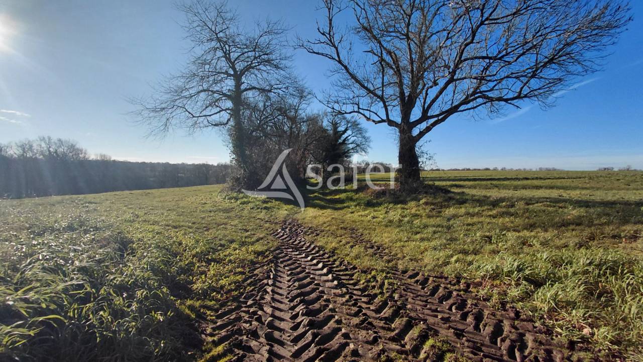 Other agricultural property  Vienne