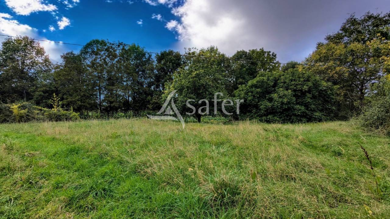 Other country property  Deux-S&egrave;vres