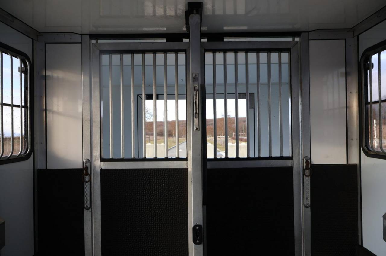 Horsebox HGV Cavalcar MASTER CAVALCAR 2022 Used