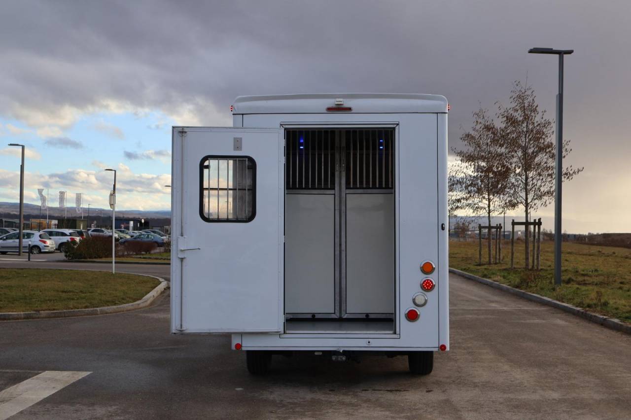 Horsebox HGV Cavalcar MASTER CAVALCAR 2022 Used