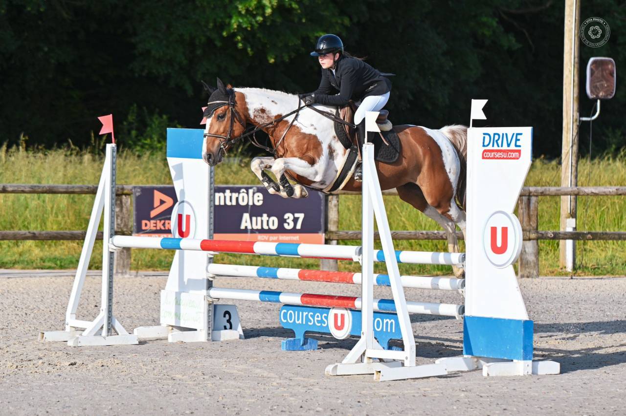 Mare Origin Recorded For sale 2019 Coloured