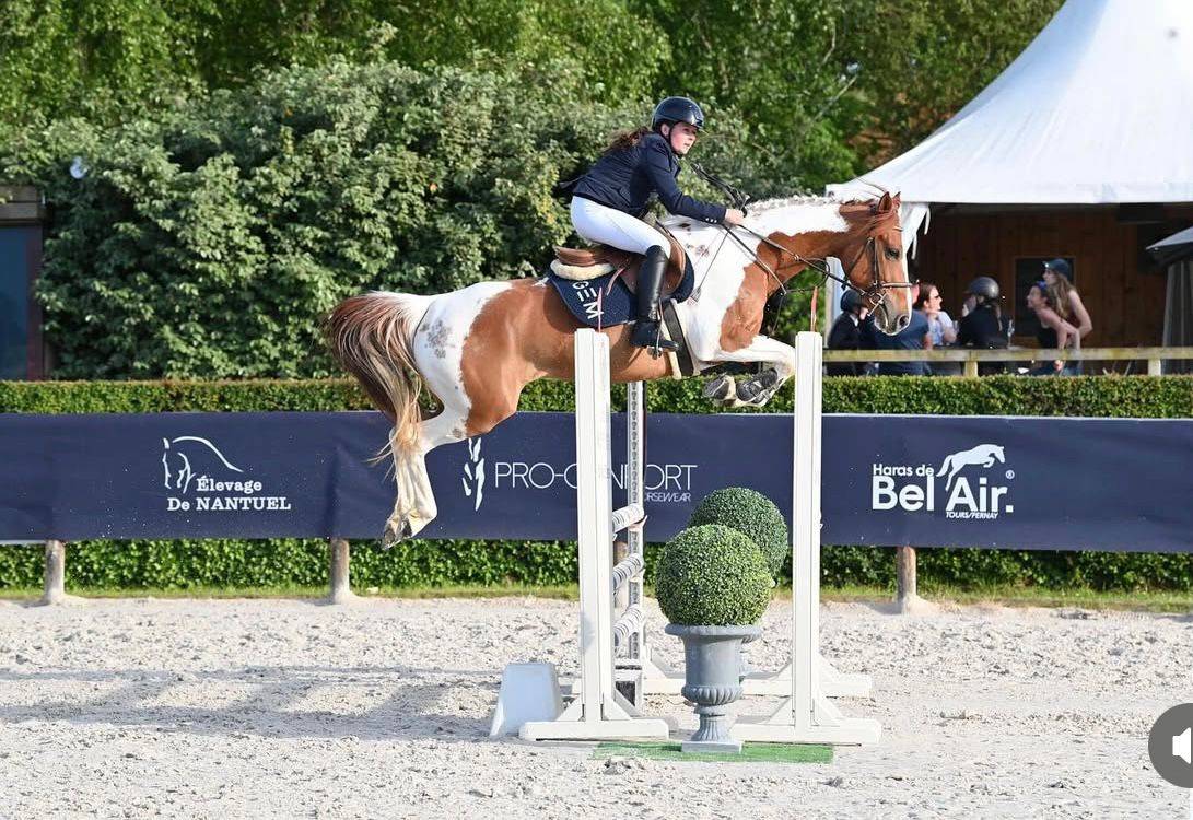 Mare Origin Recorded For sale 2019 Coloured