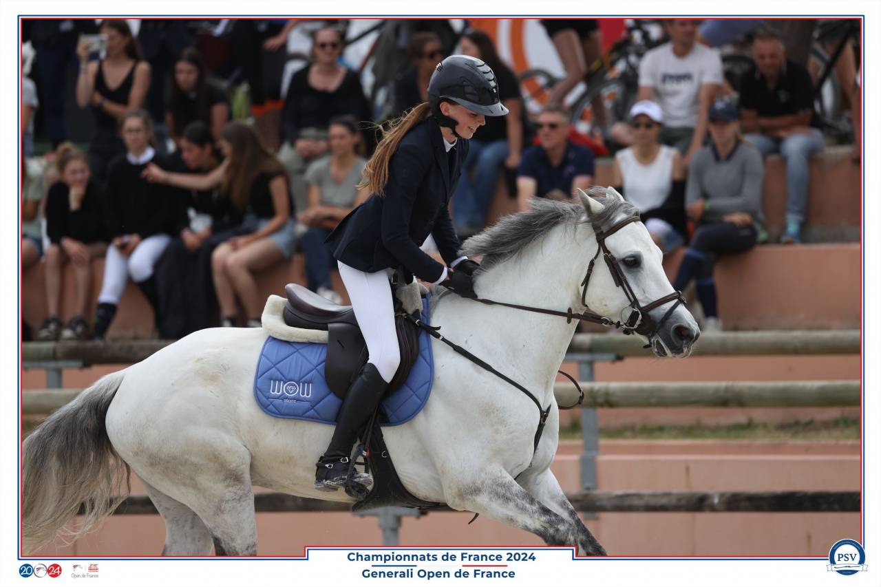 Gelding Connemara For sale 2018 Grey