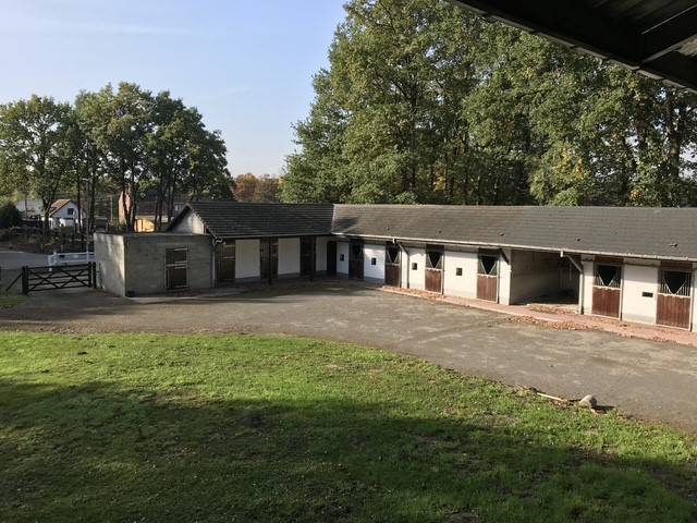 Livery yard  Hainaut