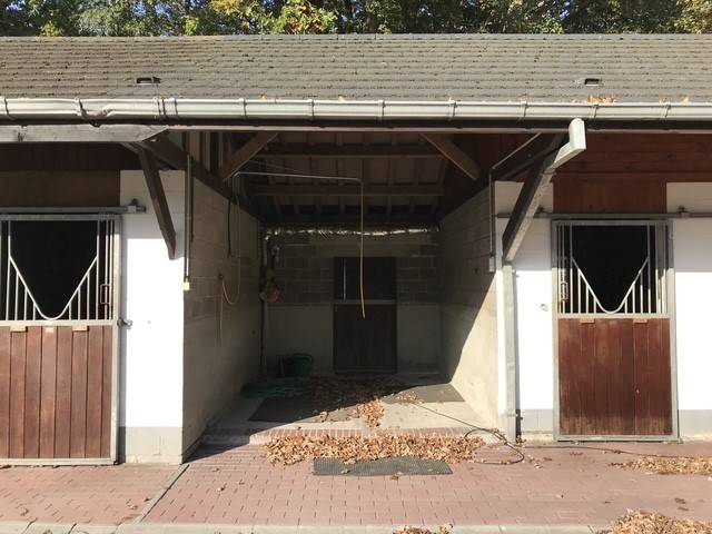Livery yard  Hainaut
