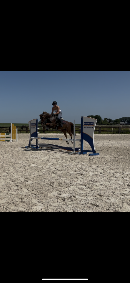 Mare Other Pony Breed For sale 2019 Chesnut