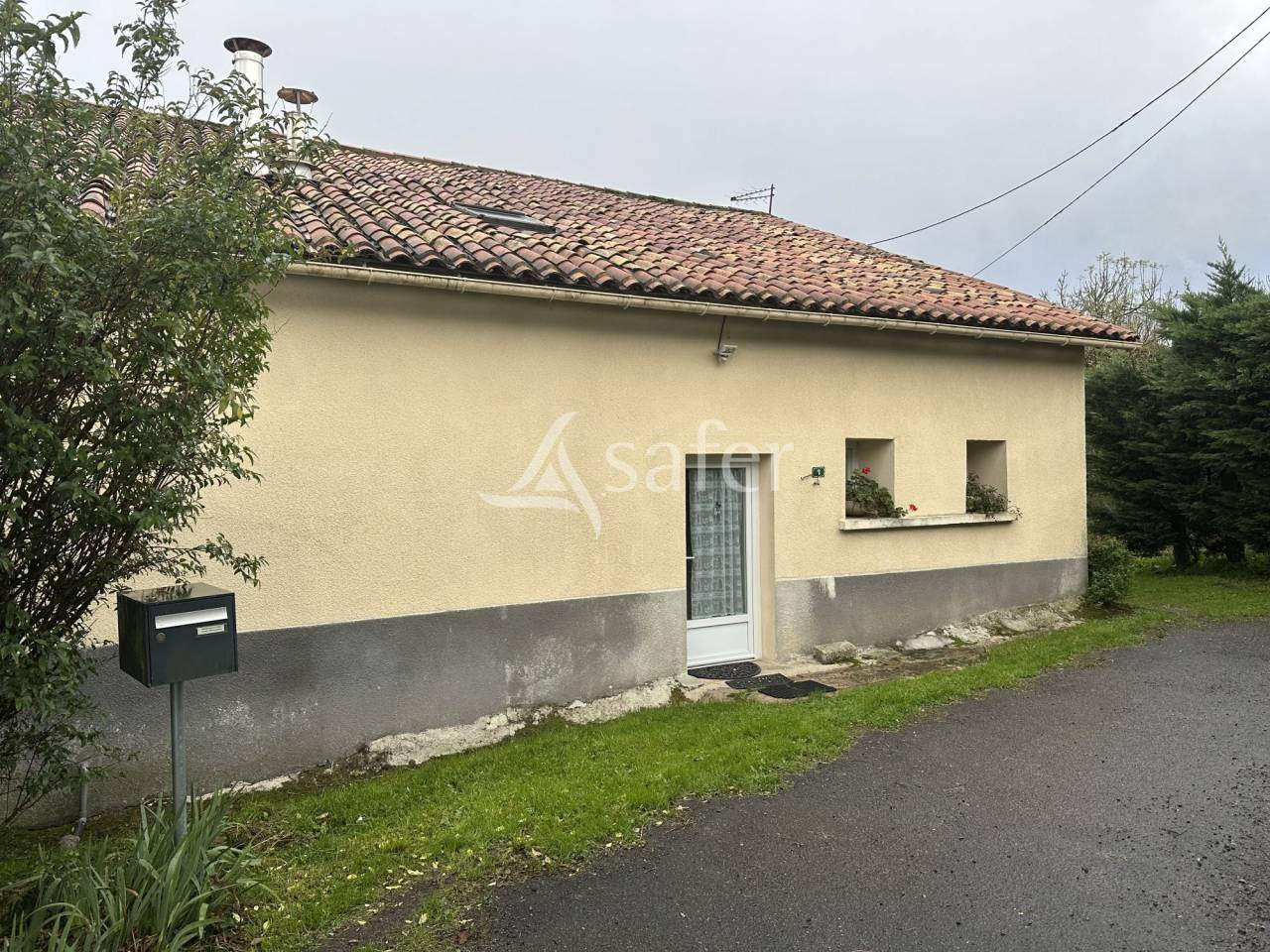 Sheep farm  Charente