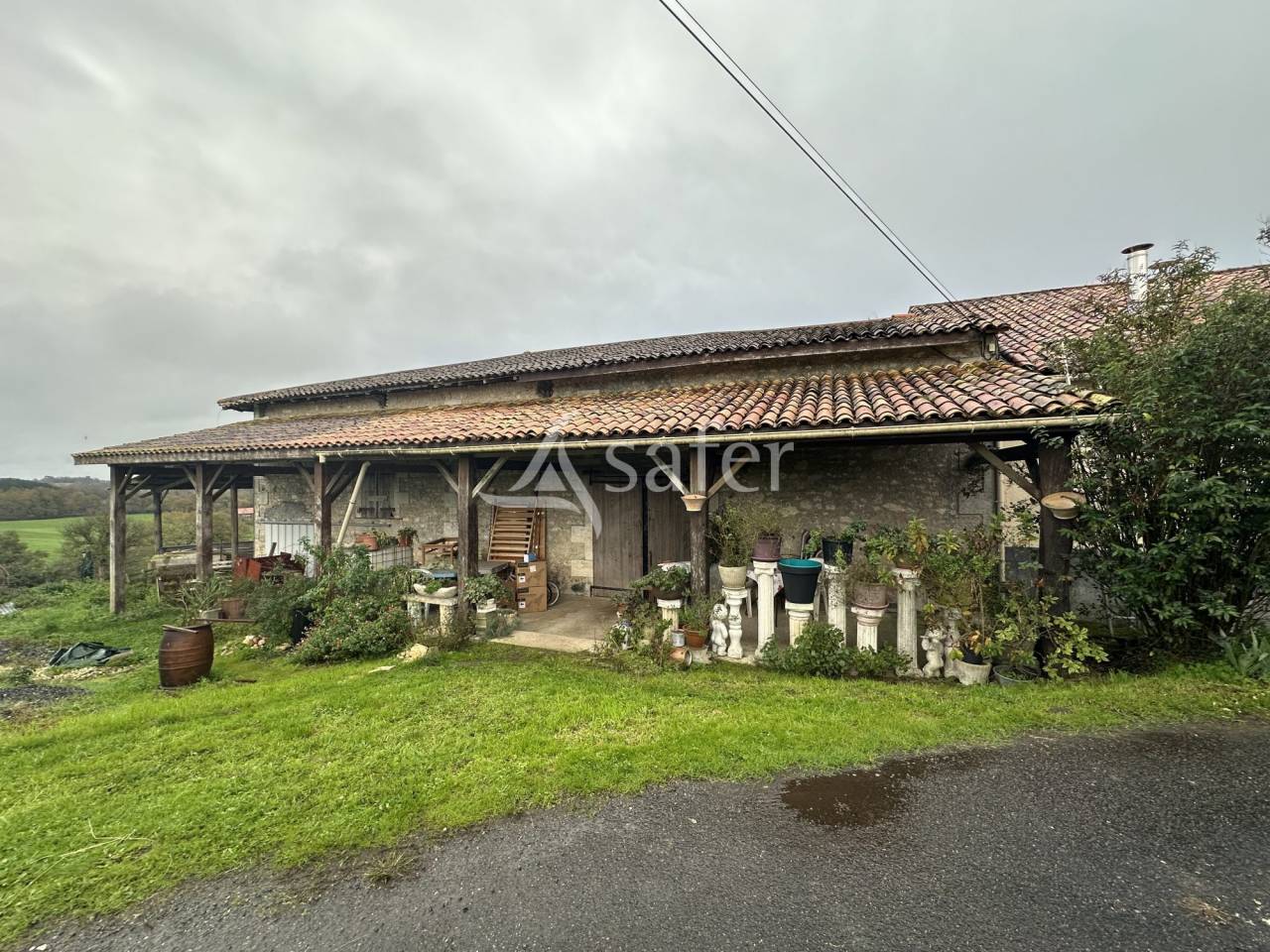 Sheep farm  Charente