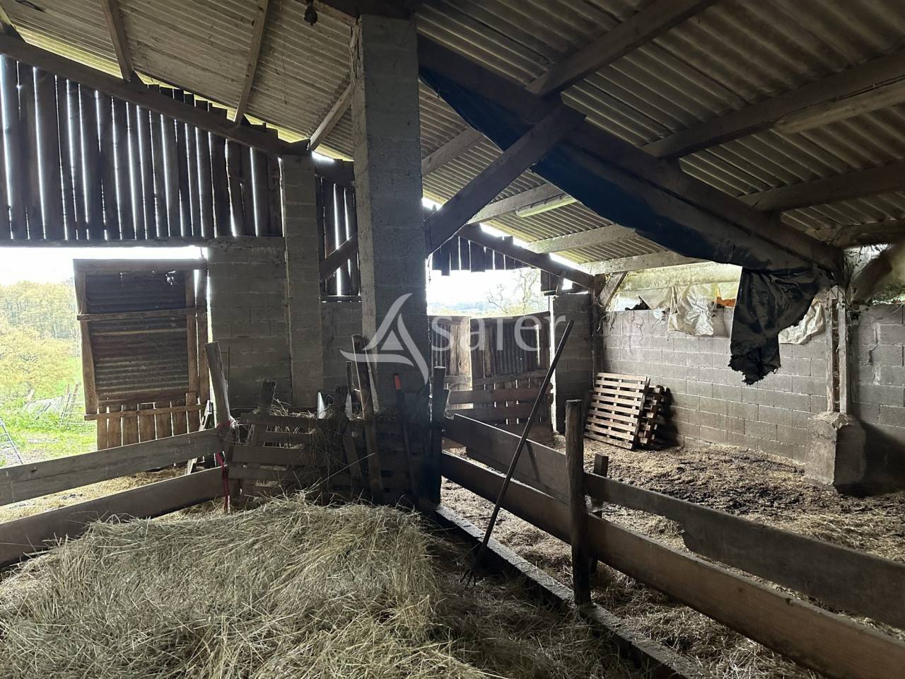 Sheep farm  Charente