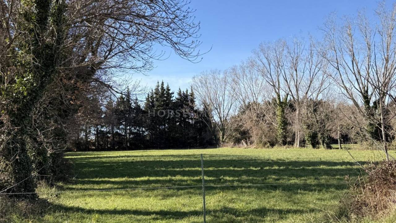 Equestrian property  Bouches-du-Rh&ocirc;ne