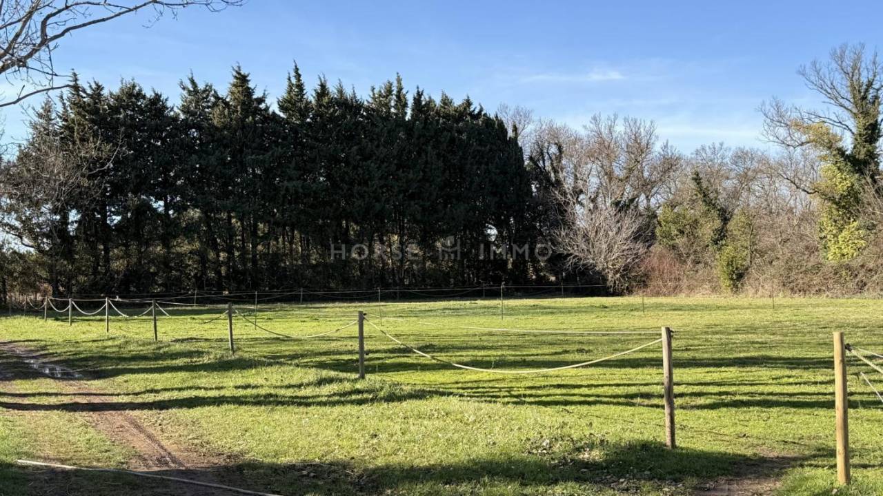 Equestrian property  Bouches-du-Rh&ocirc;ne