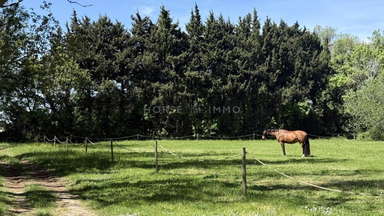 Equestrian property  Bouches-du-Rh&ocirc;ne