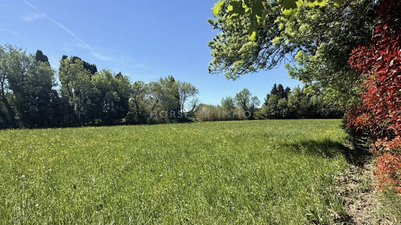 Equestrian property  Bouches-du-Rh&ocirc;ne