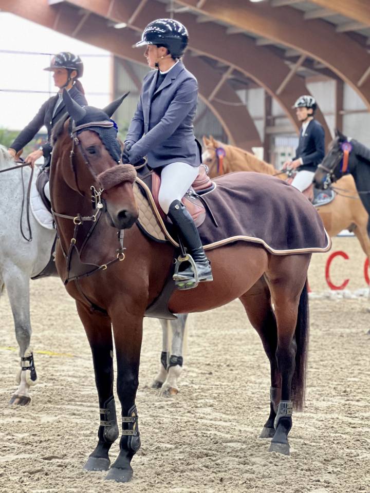 Mare Selle Fran&ccedil;ais For sale 2018 Dark Bay