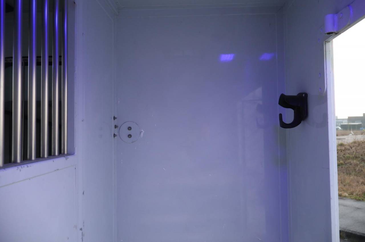 Horsebox HGV MTM FILOVAN MASTER  2016 Used