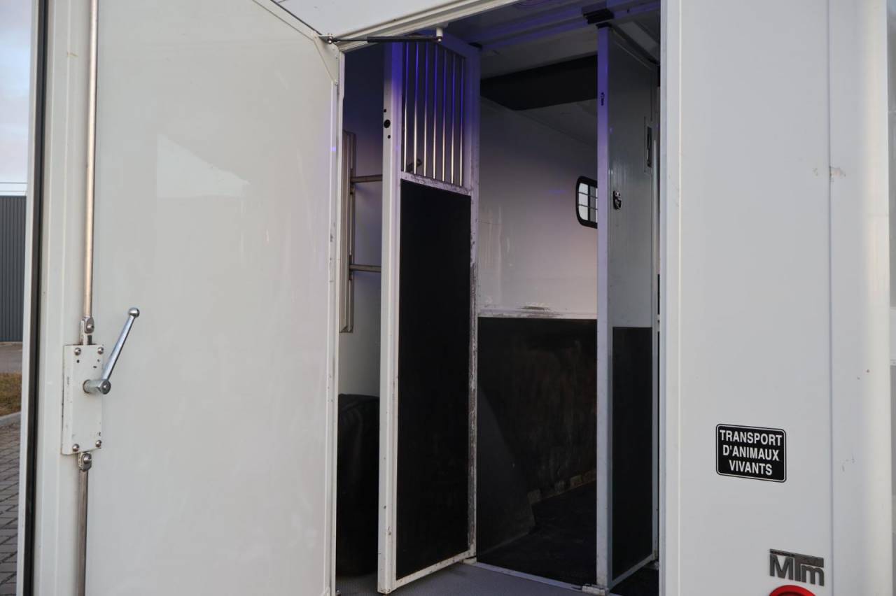 Horsebox HGV MTM FILOVAN MASTER  2016 Used