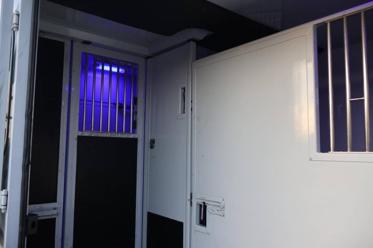 Horsebox HGV MTM FILOVAN MASTER  2016 Used