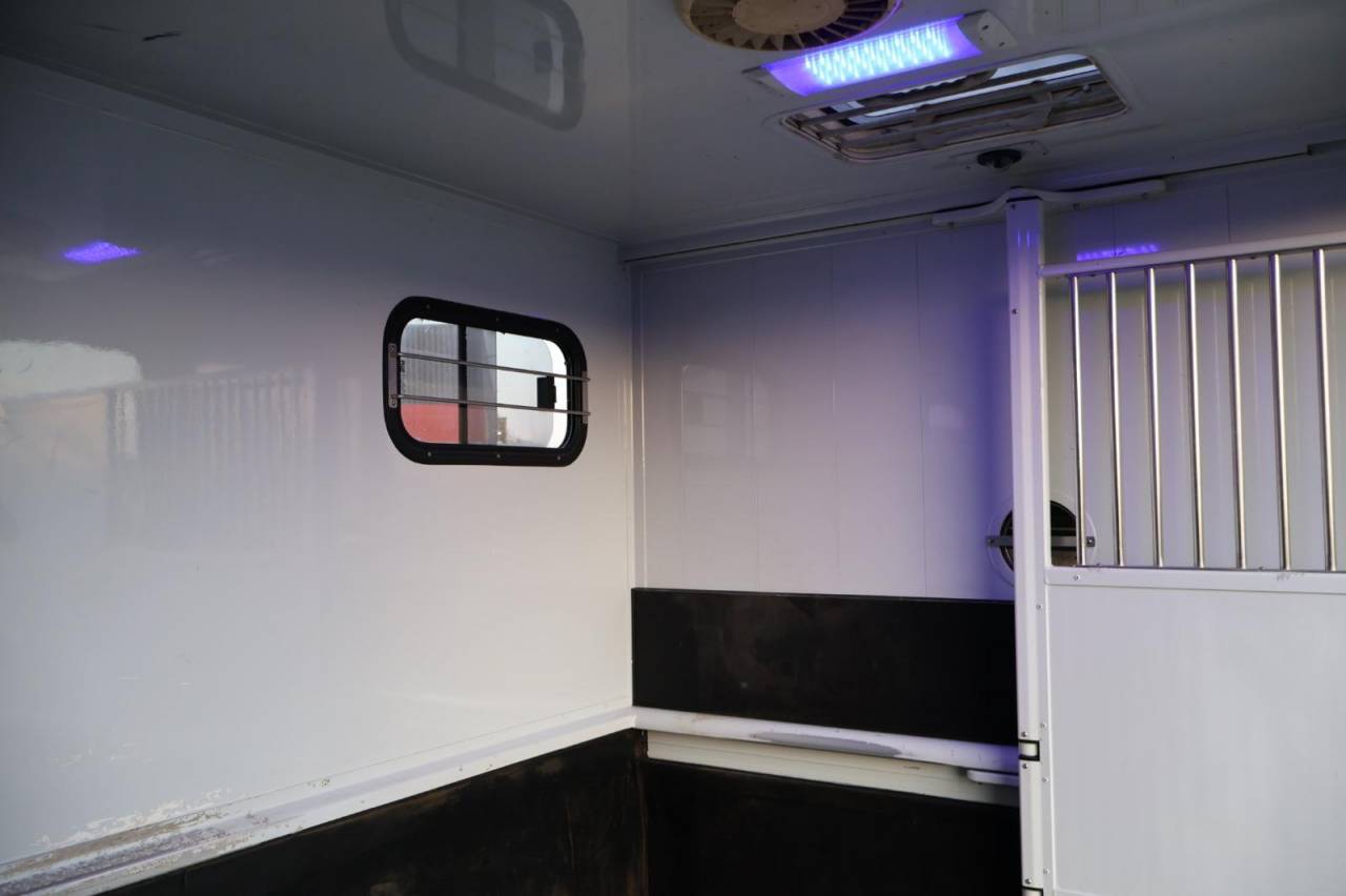 Horsebox HGV MTM FILOVAN MASTER  2016 Used