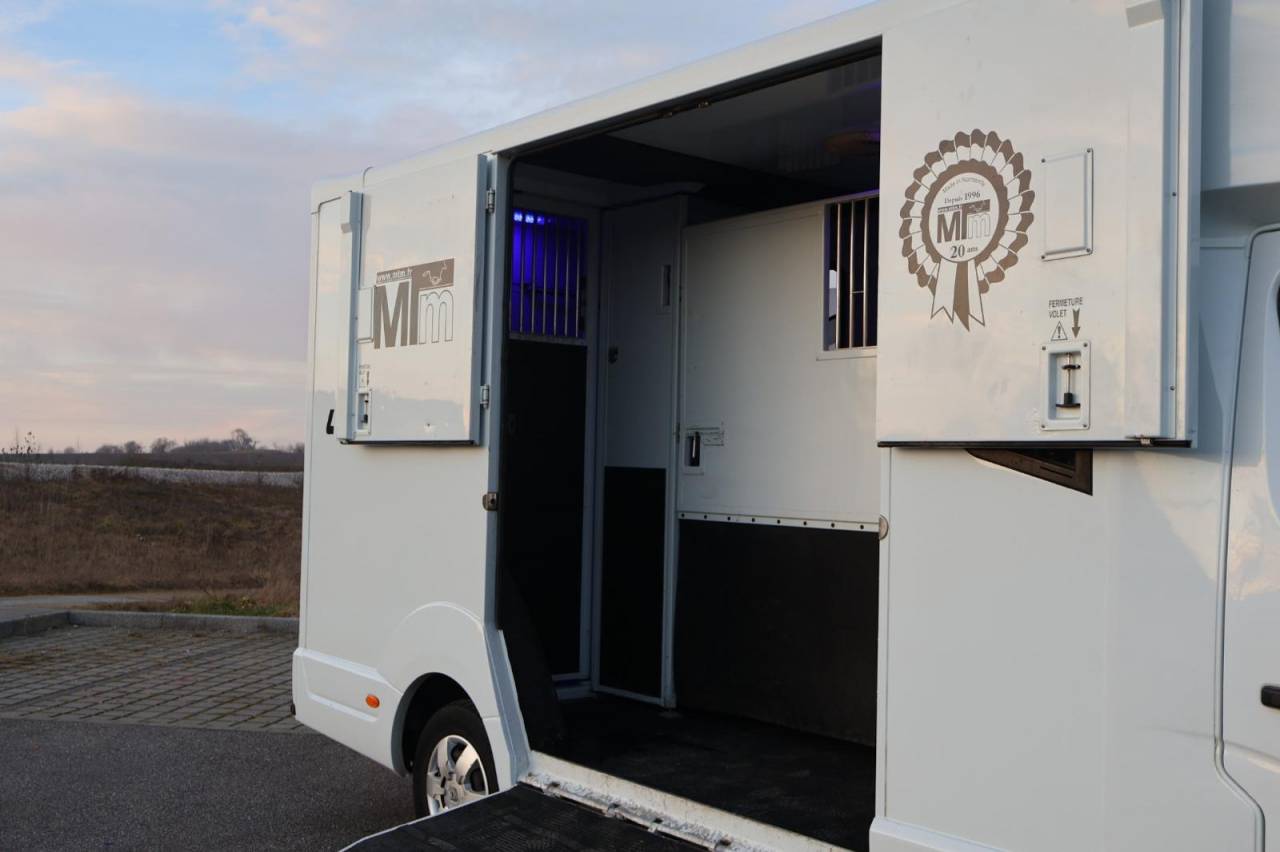 Horsebox HGV MTM FILOVAN MASTER  2016 Used