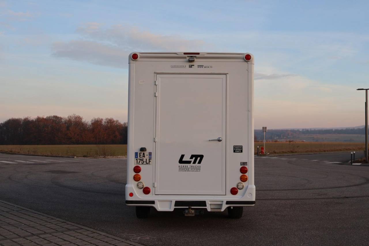 Horsebox HGV MTM FILOVAN MASTER  2016 Used