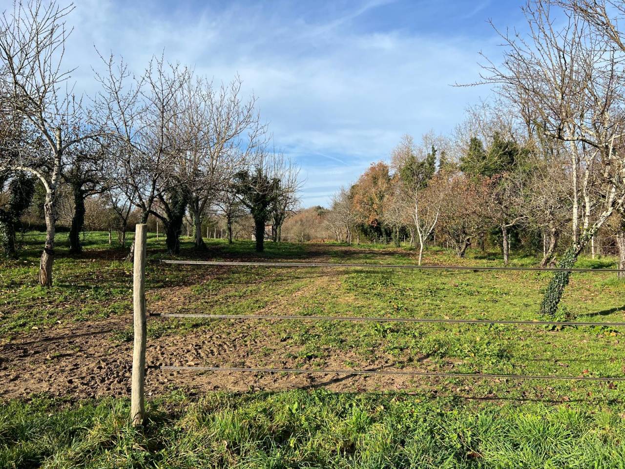Equestrian property  Charente