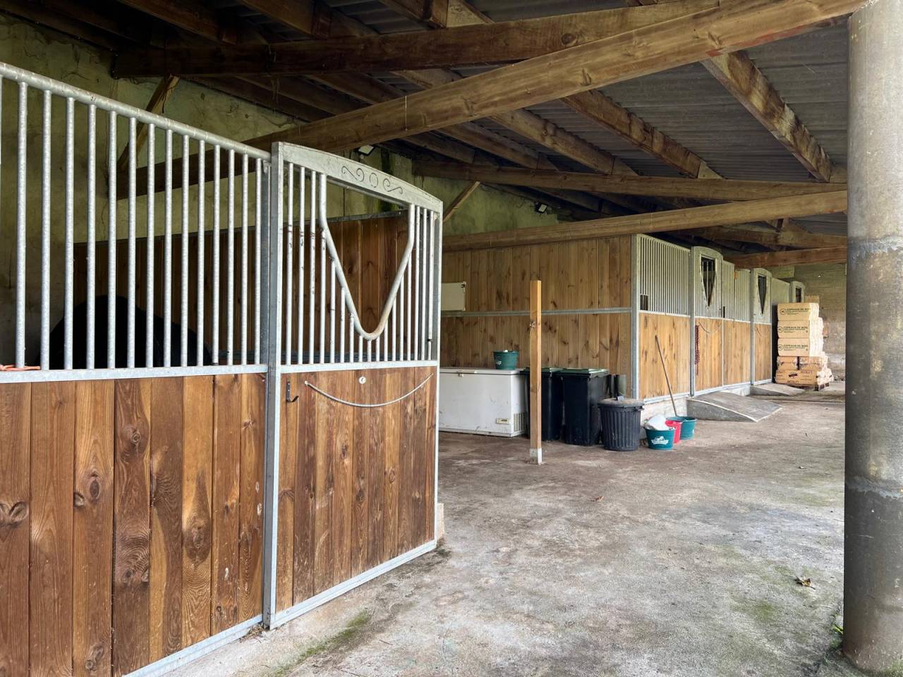 Equestrian property  Charente