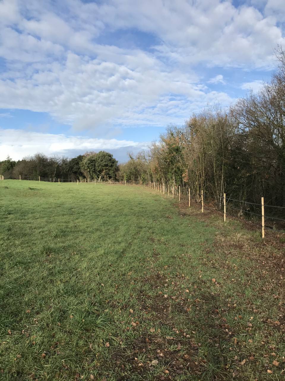 Equestrian property  Charente