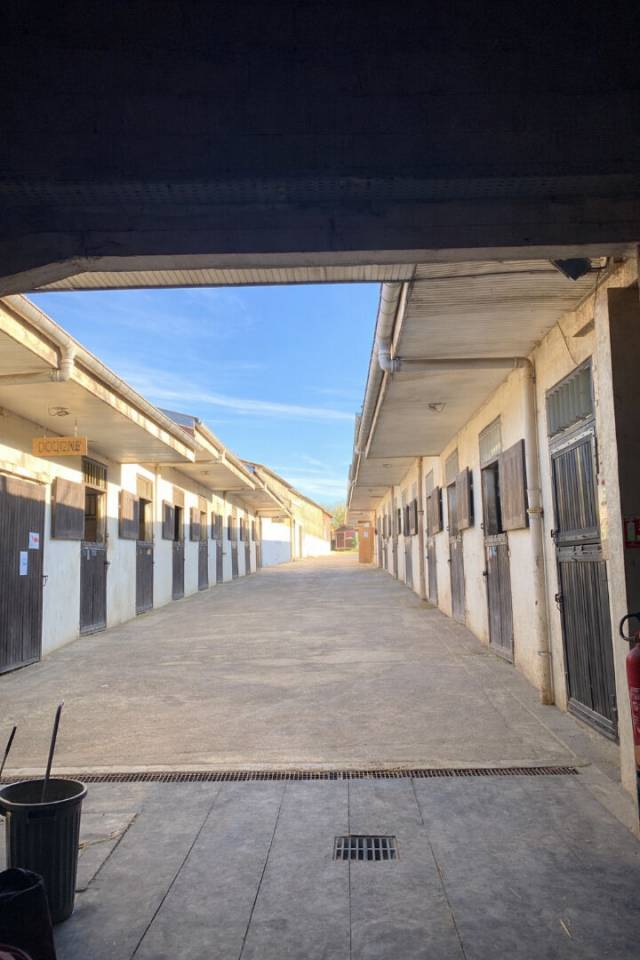 Livery yard  Meurthe-et-Moselle