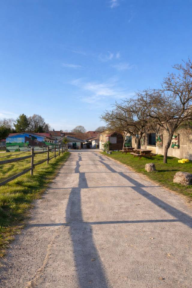 Livery yard  Meurthe-et-Moselle