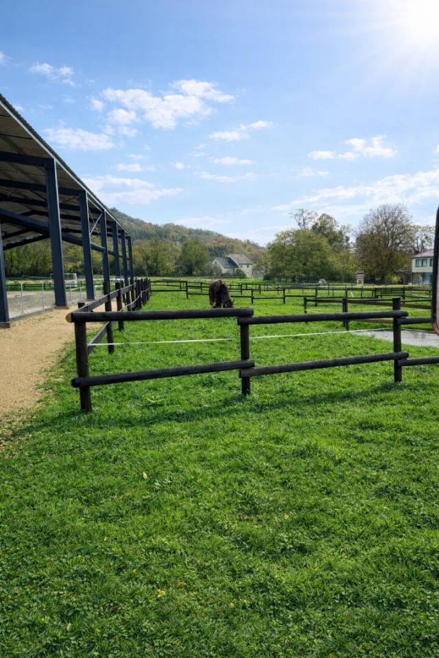 Livery yard  Meurthe-et-Moselle