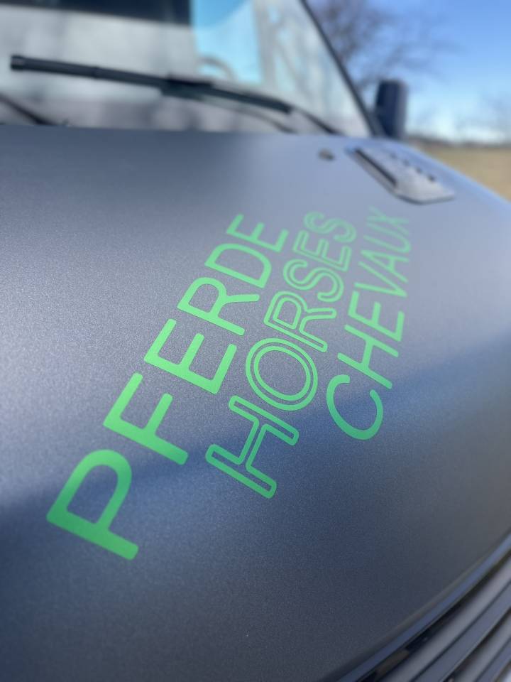 Horsebox HGV Iveco IVECO 0 New