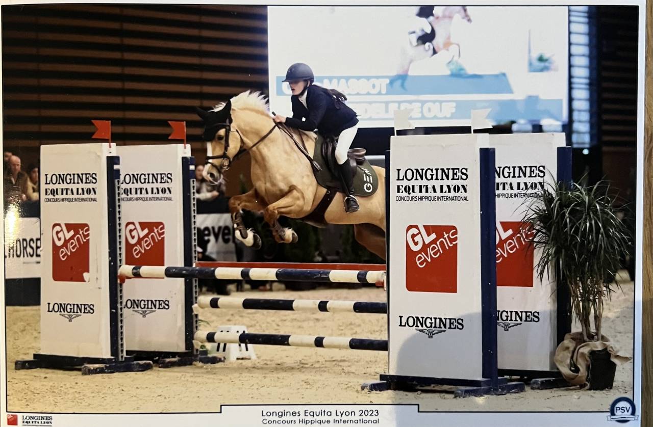 Mare French Saddle Pony For sale 2015 Palomino