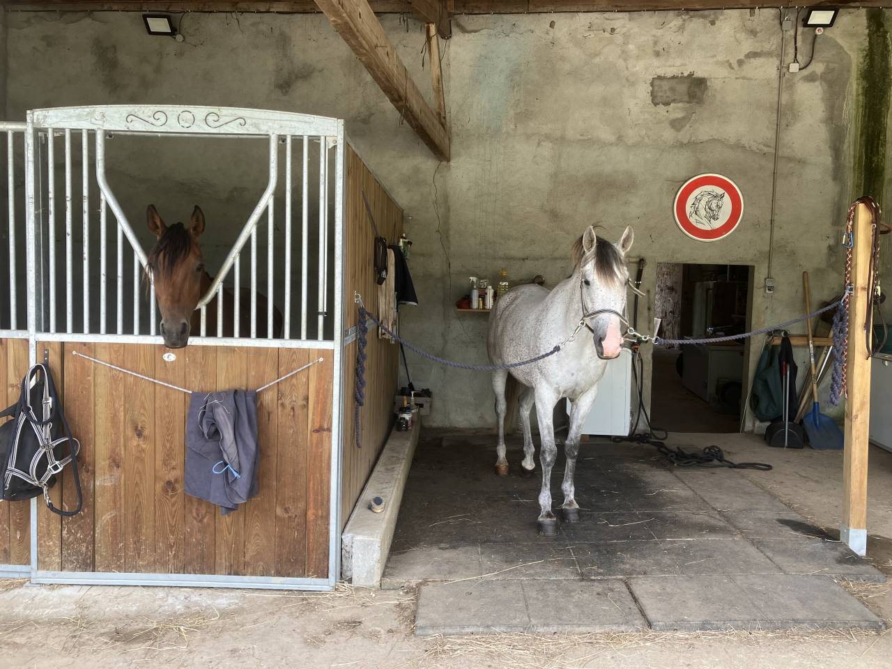 Luxurious equestrian property  Charente