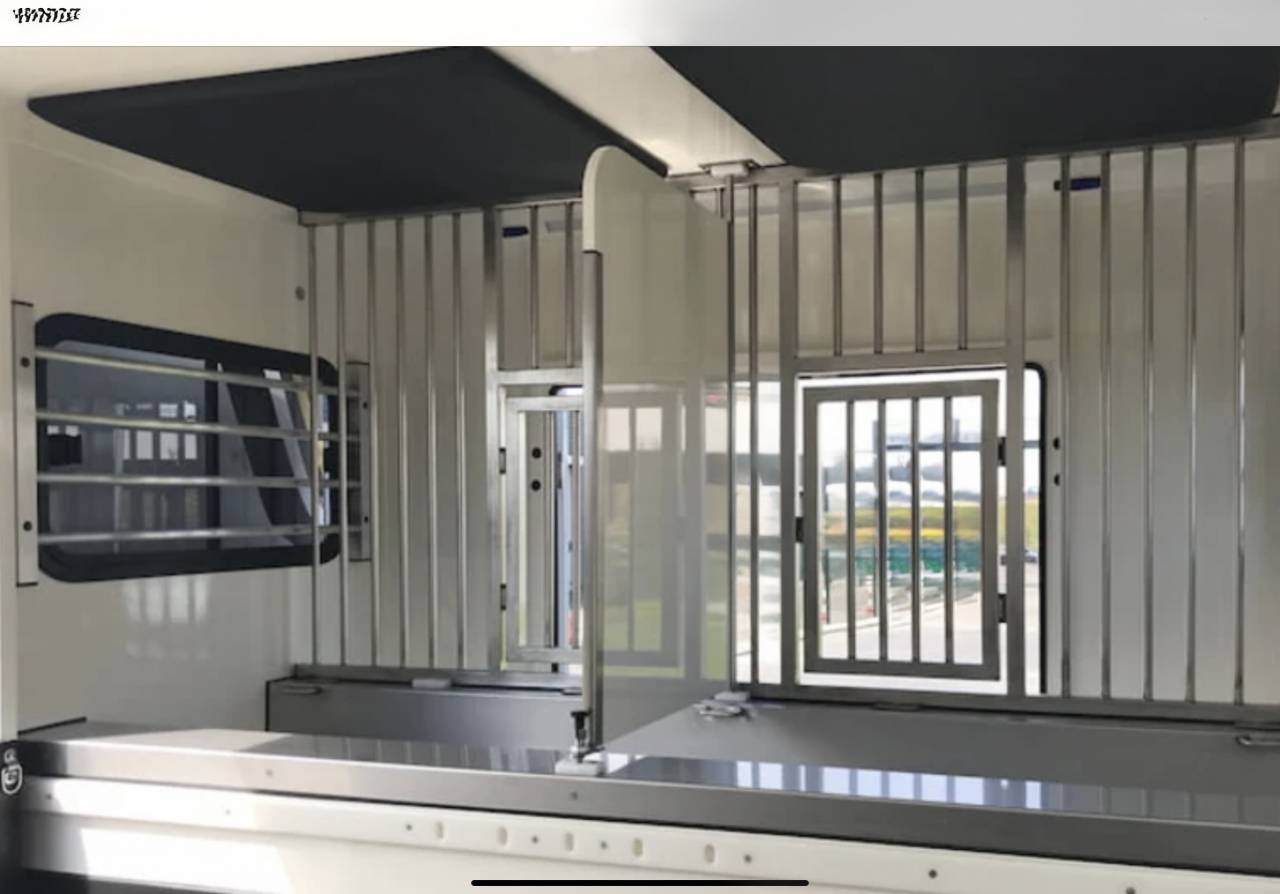 Horsebox HGV Ameline Master 3  2021 Used