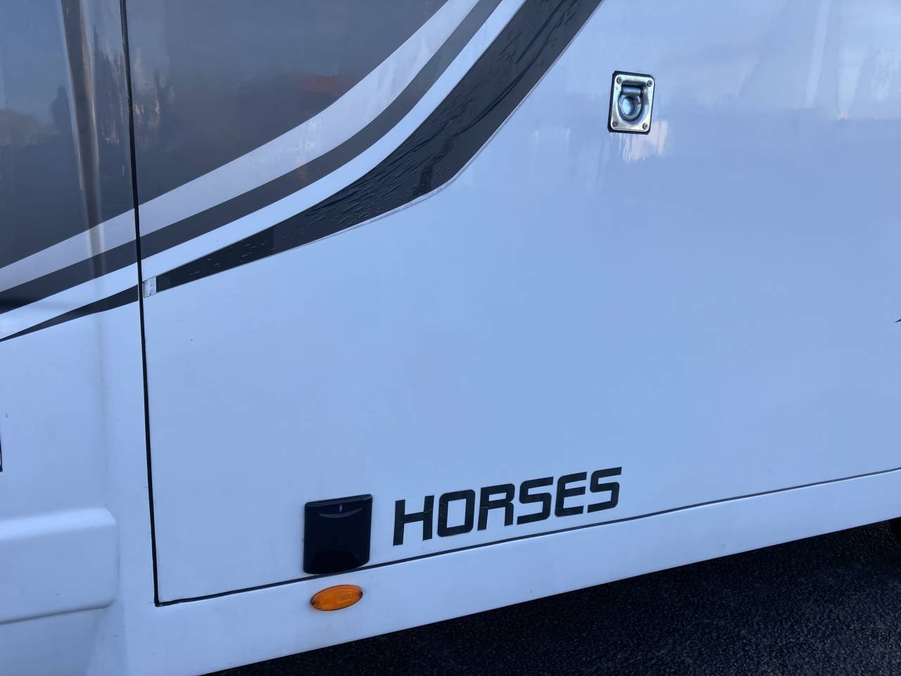 Horsebox HGV Ameline Master 3  2021 Used